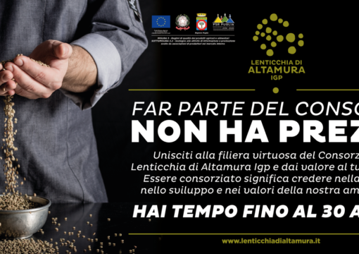 Consorzio di Tutela della Lenticchia di Altamura IGP: nuova campagna associati 2019