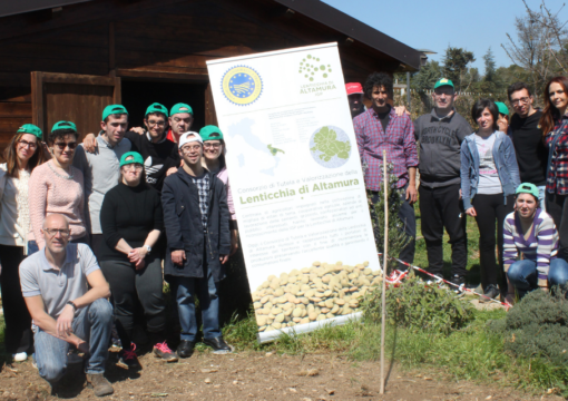 Progetto ALTIS : il Consorzio della Lenticchia di Altamura I.G.P. e i ragazzi dell’ANffAS seminano varietà differenti di lenticchia